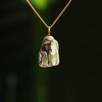 Paua schelp hanger