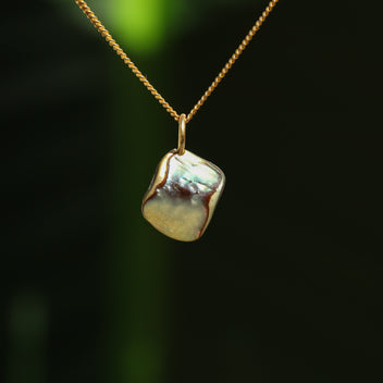 Paua schelp hanger