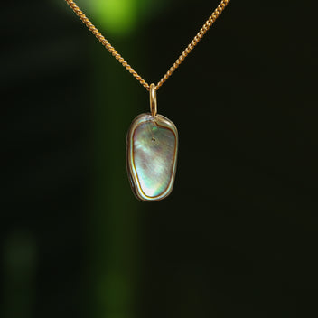 Paua schelp hanger
