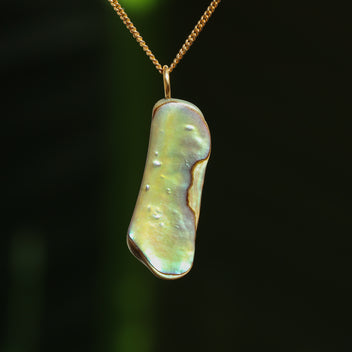 Paua schelp hanger