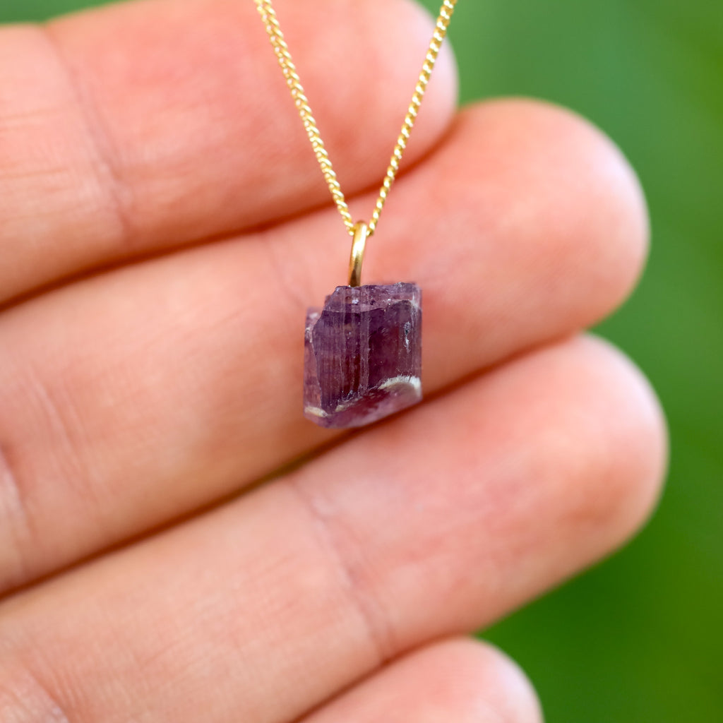 Paarse Scapoliet hanger